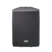  D 12-3 Cabinet Speaker