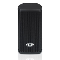  TS 100 Cabinet Speaker