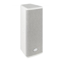  VL 262W Cabinet Speaker