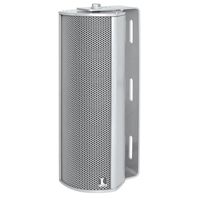  TS-C 10-300/T Column Speaker