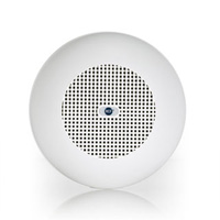  BS 2620 Ceiling Speaker