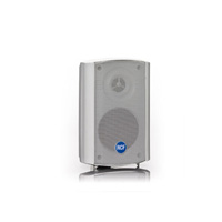  DM 41 Cabinet Speaker