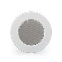  DS 313/WT Ceiling Speaker