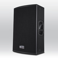  TT22 WP Cabinet Speaker