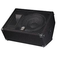  BR15M Cabinet Speaker